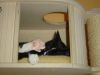 Katze schlft in Holzbox